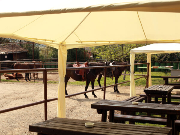 Кетъринг оборудване под наем в конна база Здравец – 14.09.2014г.