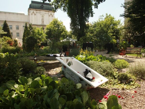 Кетъринг оборудване под наем в Университетска ботаническа градина гр. София 13.06.2015г.